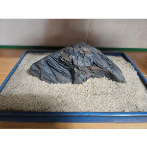 수석