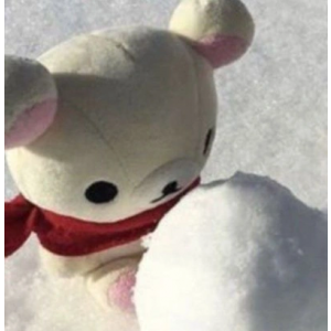 아이브 포카로 아이브 신곡 포카 구해용