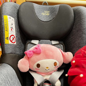 브라이텍스 듀얼픽스 카시트